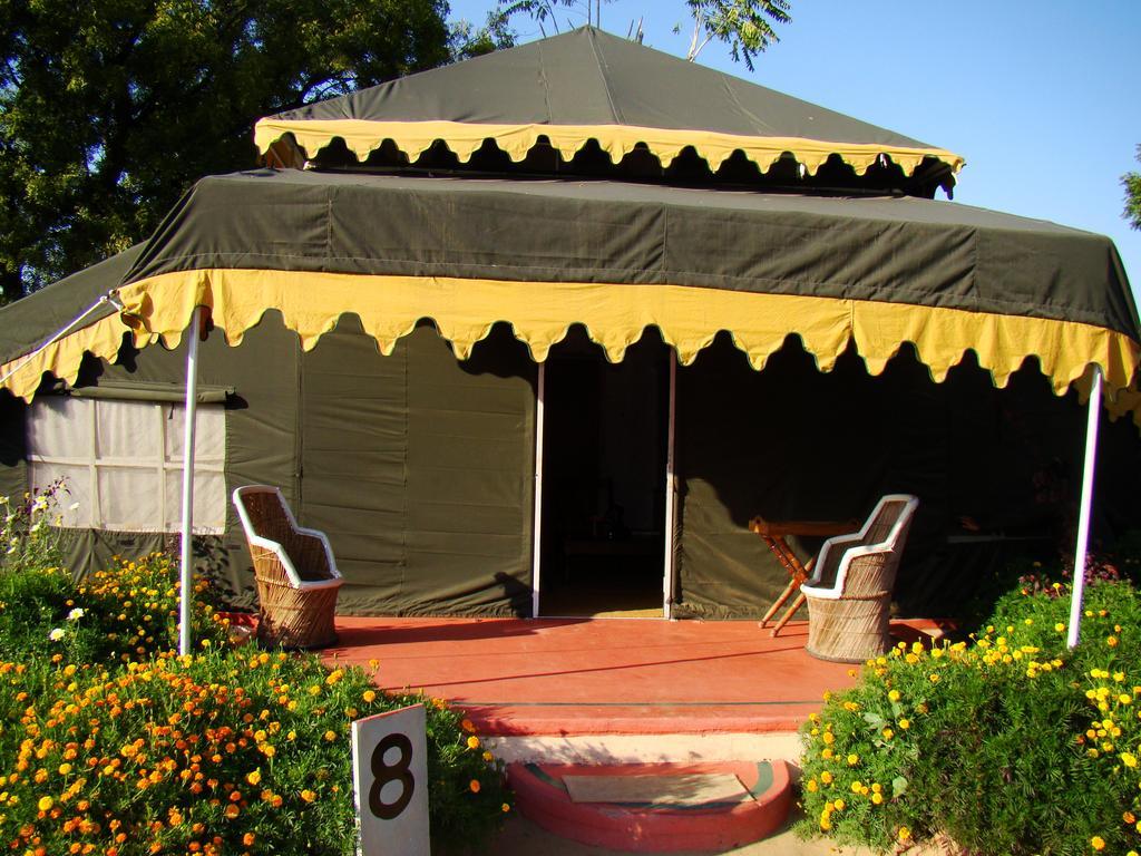 Orchard Tents & Tranquility Πουσκάρ Εξωτερικό φωτογραφία