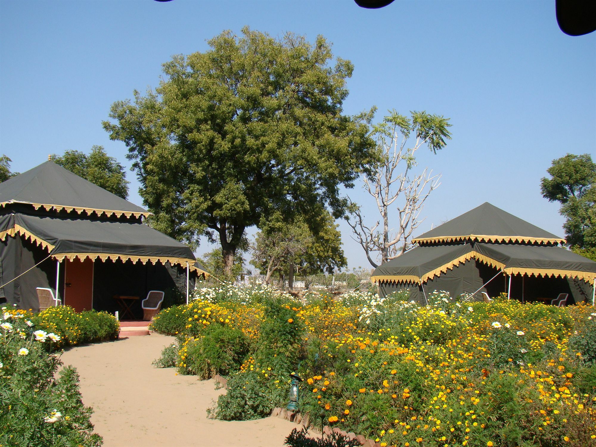 Orchard Tents & Tranquility Πουσκάρ Εξωτερικό φωτογραφία