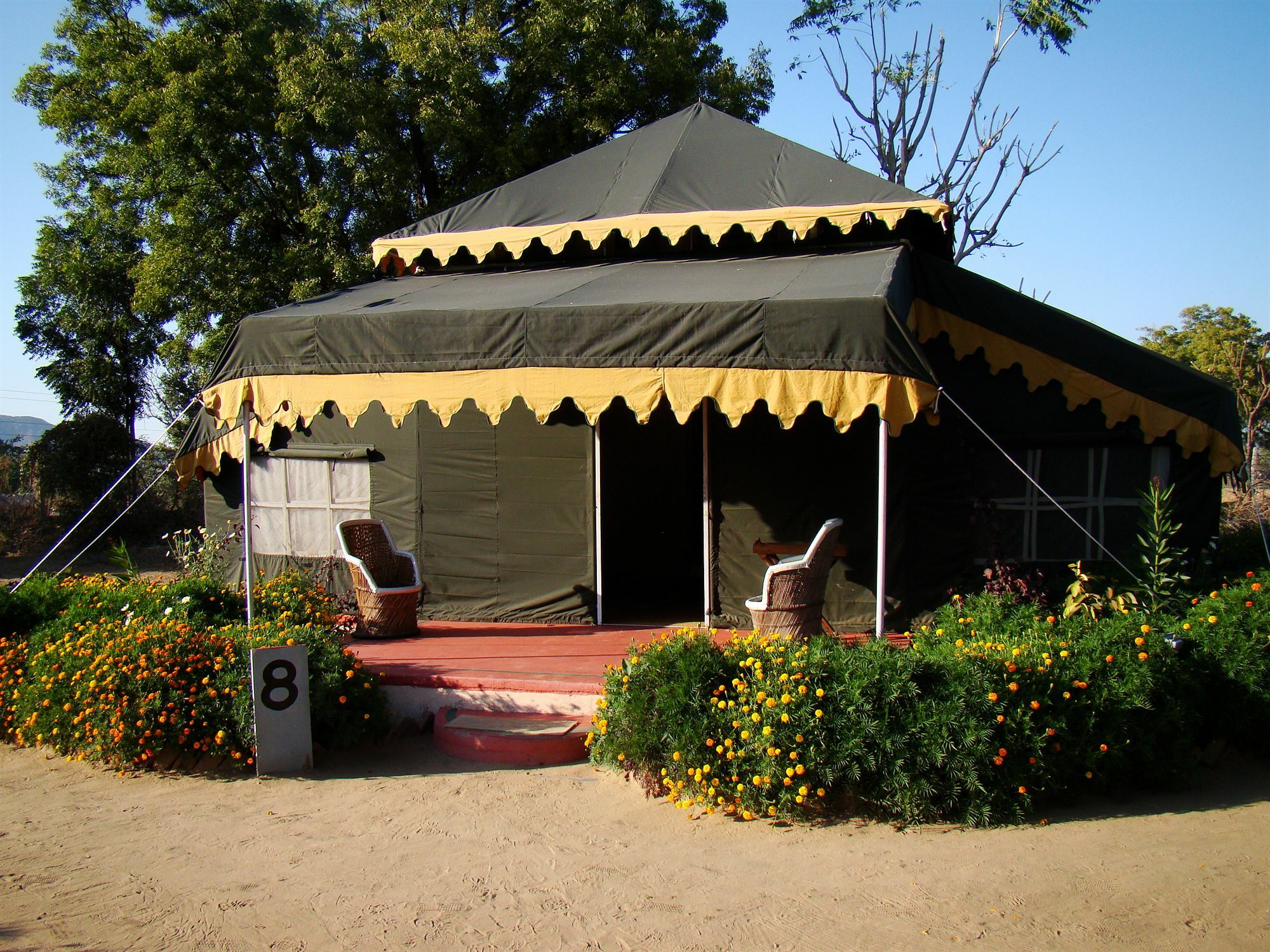 Orchard Tents & Tranquility Πουσκάρ Εξωτερικό φωτογραφία