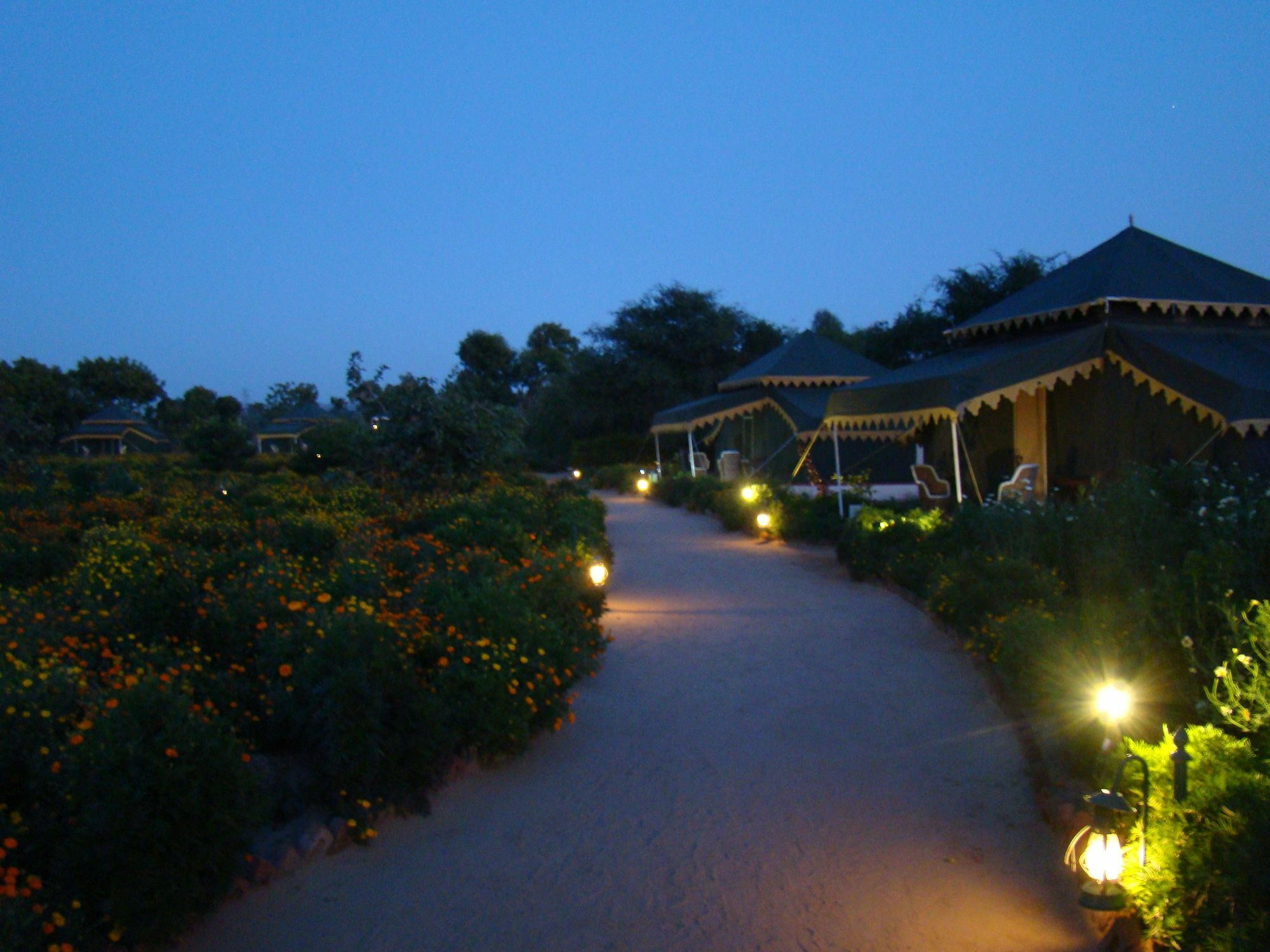 Orchard Tents & Tranquility Πουσκάρ Εξωτερικό φωτογραφία