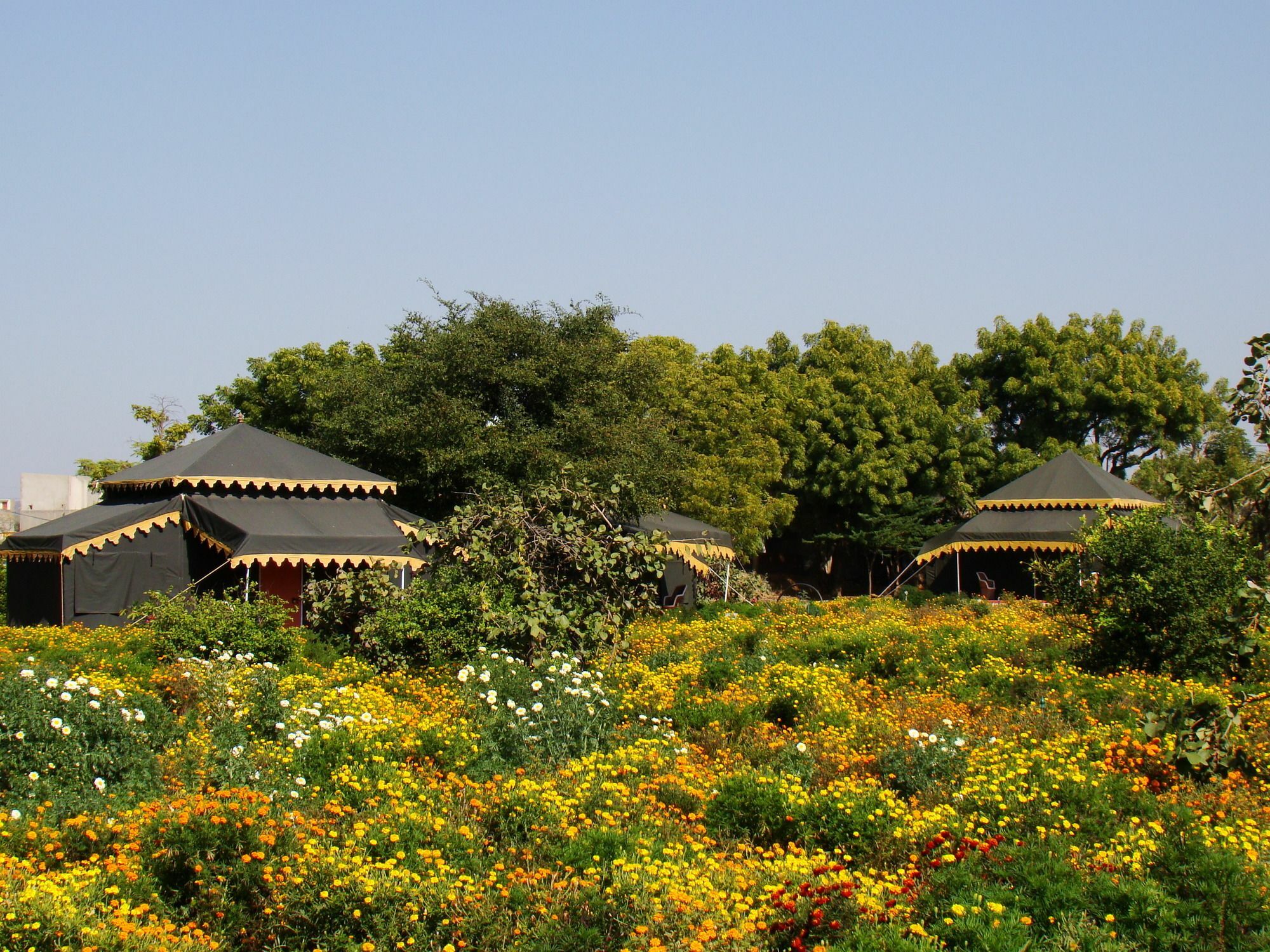 Orchard Tents & Tranquility Πουσκάρ Εξωτερικό φωτογραφία