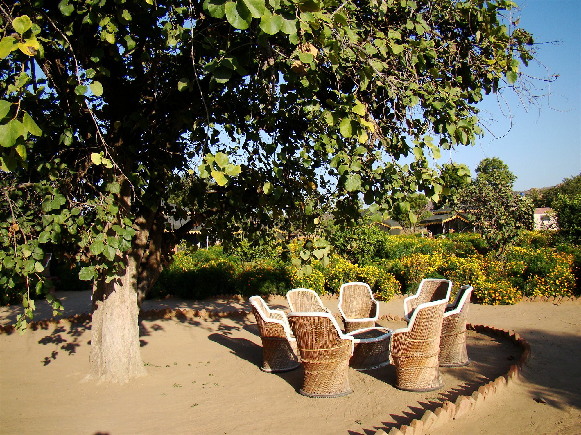 Orchard Tents & Tranquility Πουσκάρ Εξωτερικό φωτογραφία