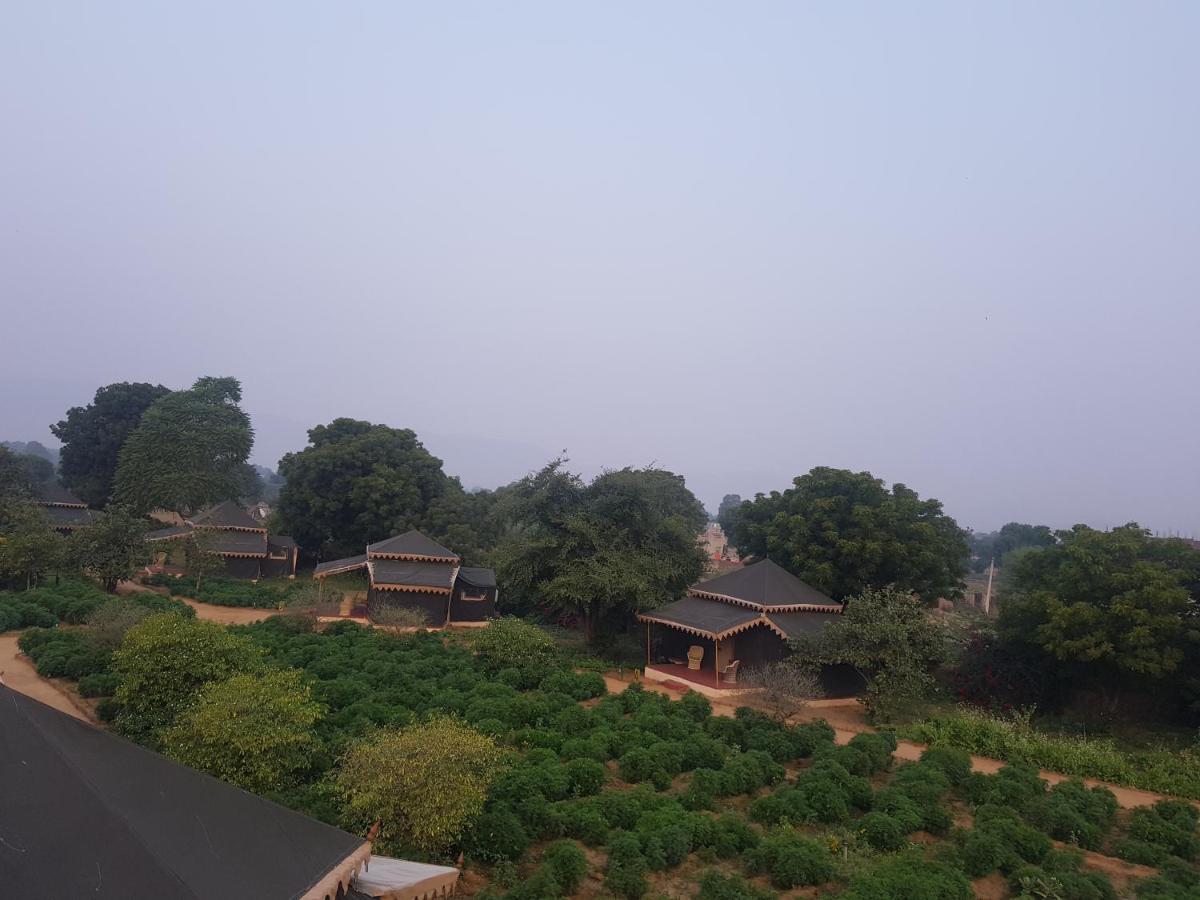 Orchard Tents & Tranquility Πουσκάρ Εξωτερικό φωτογραφία