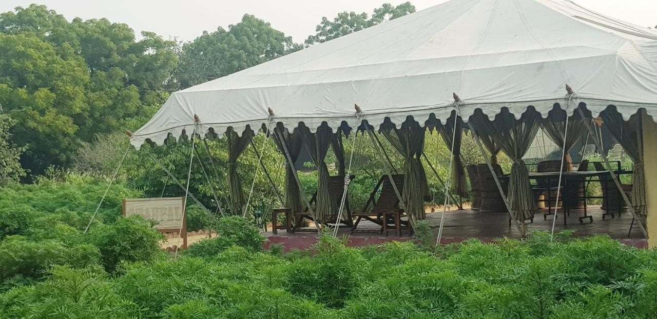 Orchard Tents & Tranquility Πουσκάρ Εξωτερικό φωτογραφία