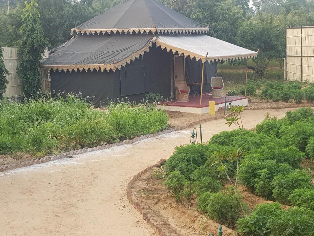 Orchard Tents & Tranquility Πουσκάρ Εξωτερικό φωτογραφία