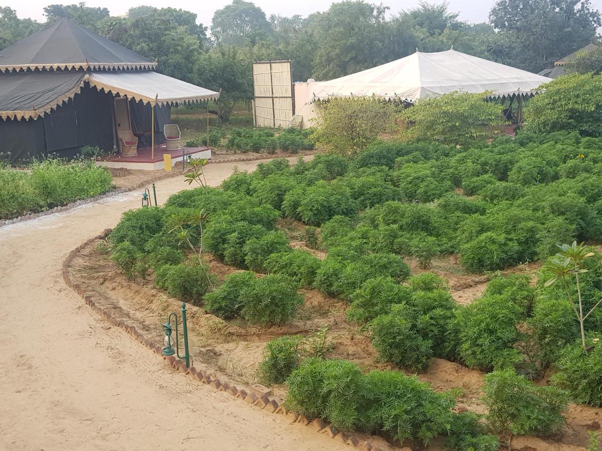 Orchard Tents & Tranquility Πουσκάρ Εξωτερικό φωτογραφία