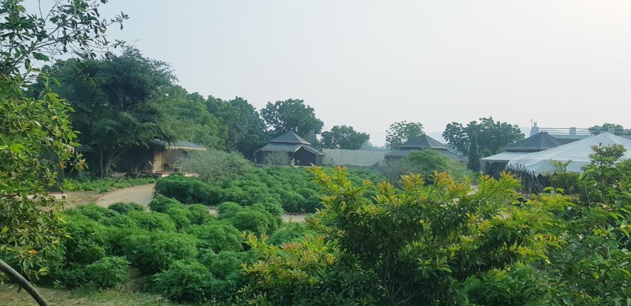 Orchard Tents & Tranquility Πουσκάρ Εξωτερικό φωτογραφία