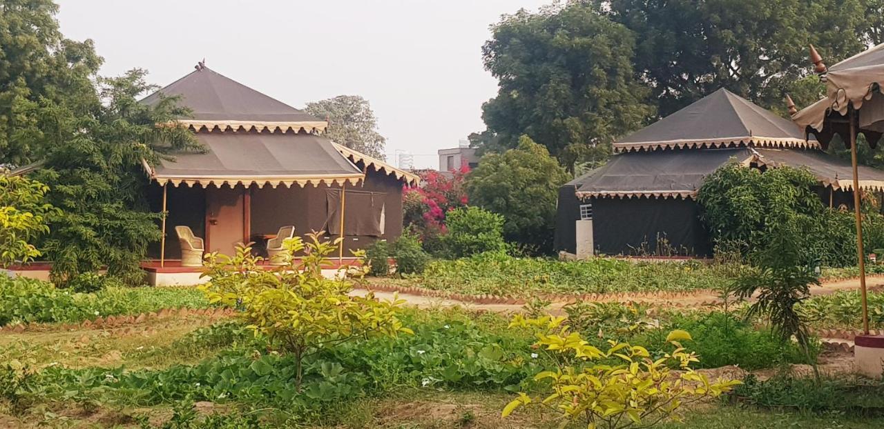 Orchard Tents & Tranquility Πουσκάρ Εξωτερικό φωτογραφία
