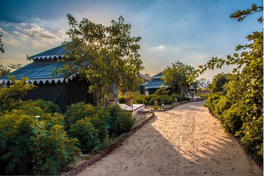 Orchard Tents & Tranquility Πουσκάρ Εξωτερικό φωτογραφία